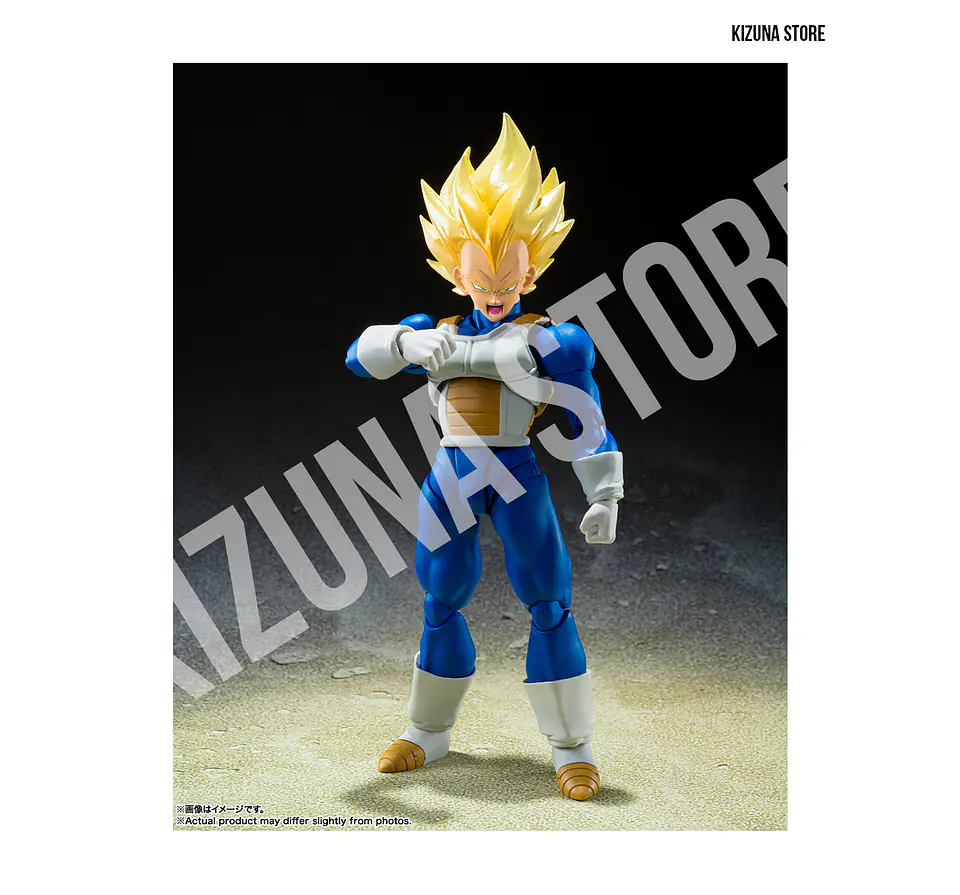Super Saiyan Vegeta -Awakened Super Saiyan Blood- 3