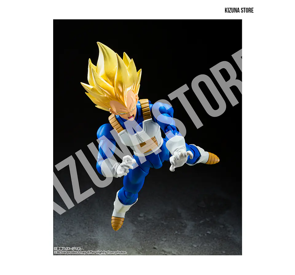 Super Saiyan Vegeta -Awakened Super Saiyan Blood- 5