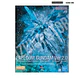MG Freedom Gundam Ver.2.0 [Cross Contrast Colors / Clear Blue] - Miniatura 2