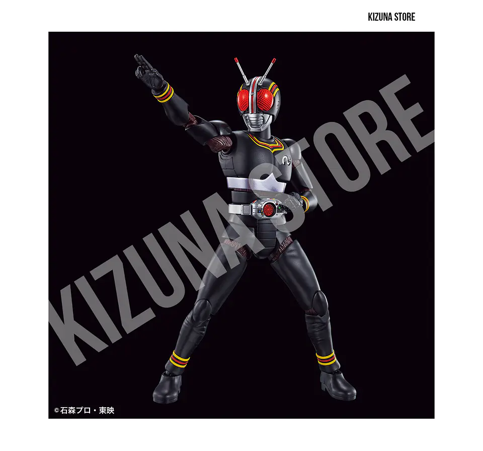 Figure Rise Kamen Rider/Masked Rider Black 6