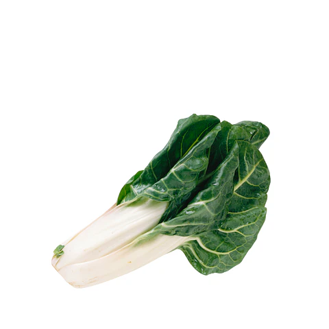 Acelga