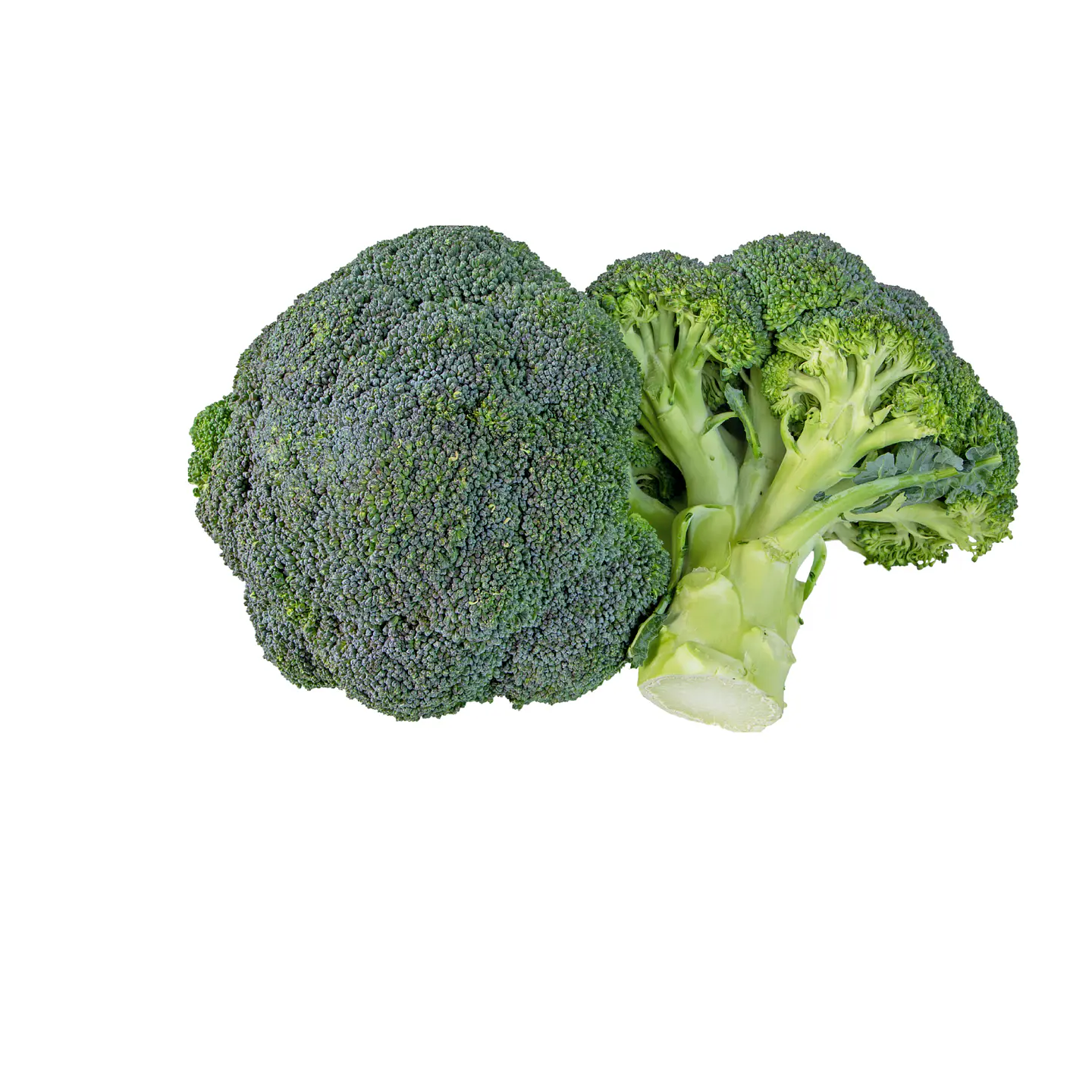 Brócoli 1
