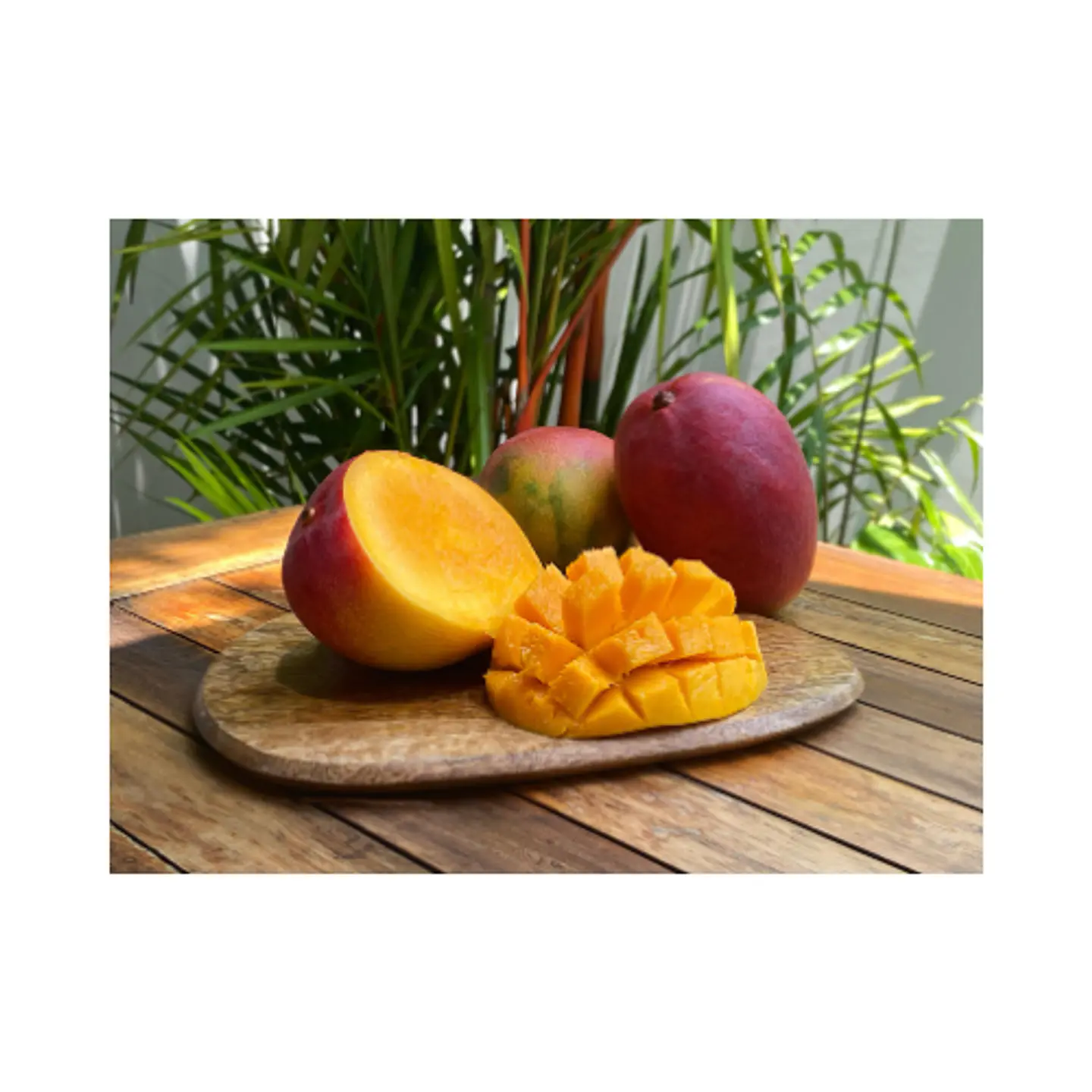 Mango (c/u) 2