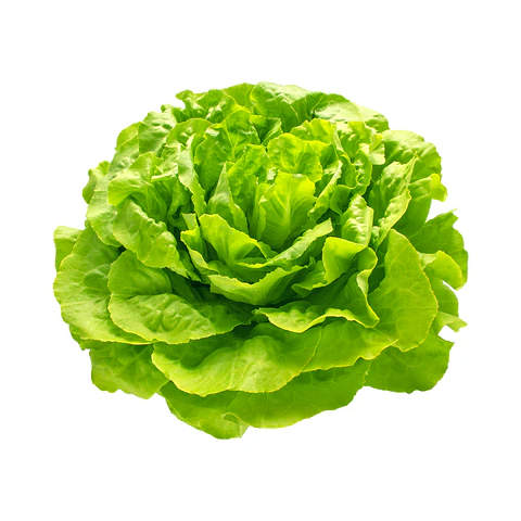 Lechuga Española (Unidad)