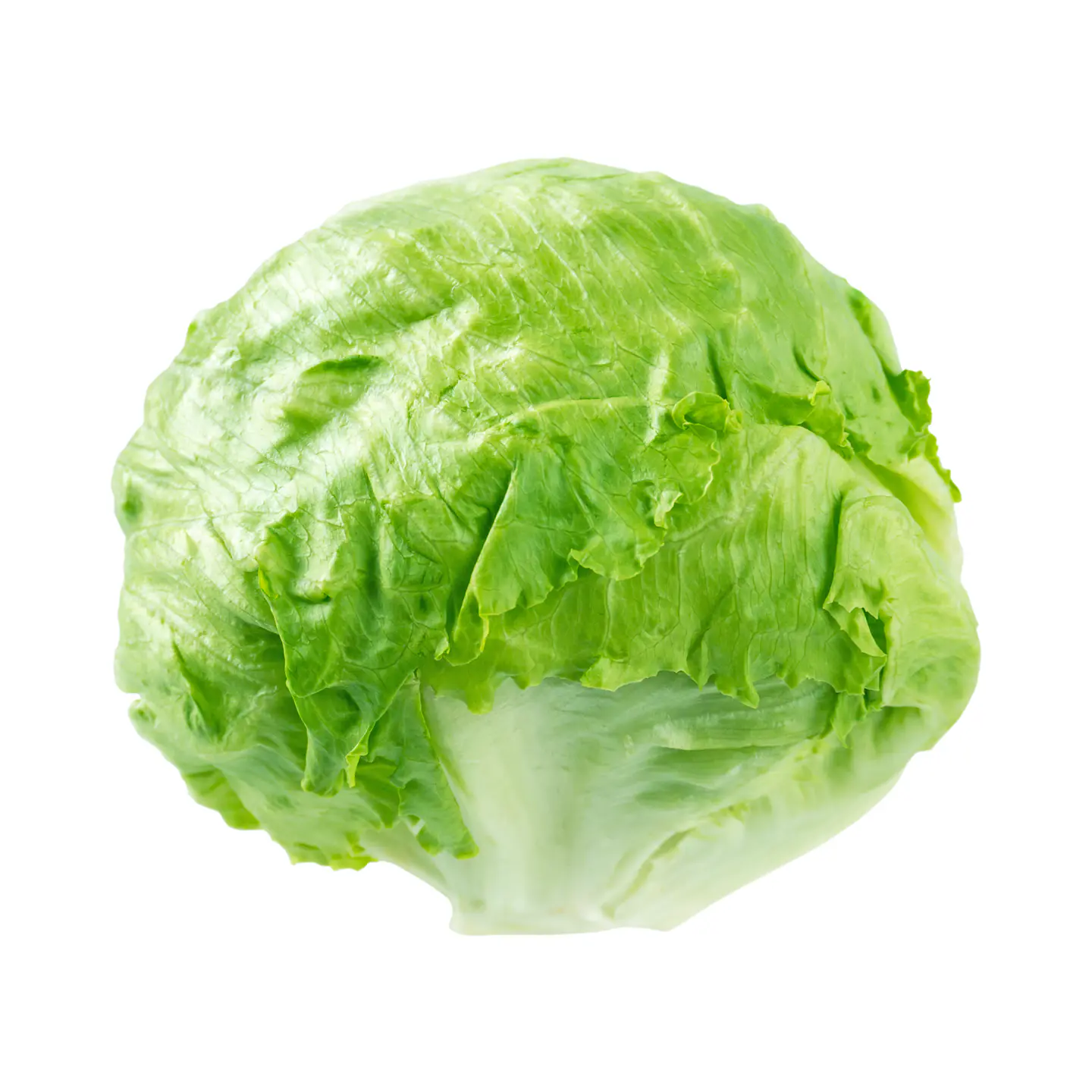 Lechuga escarola (Unidad) 1