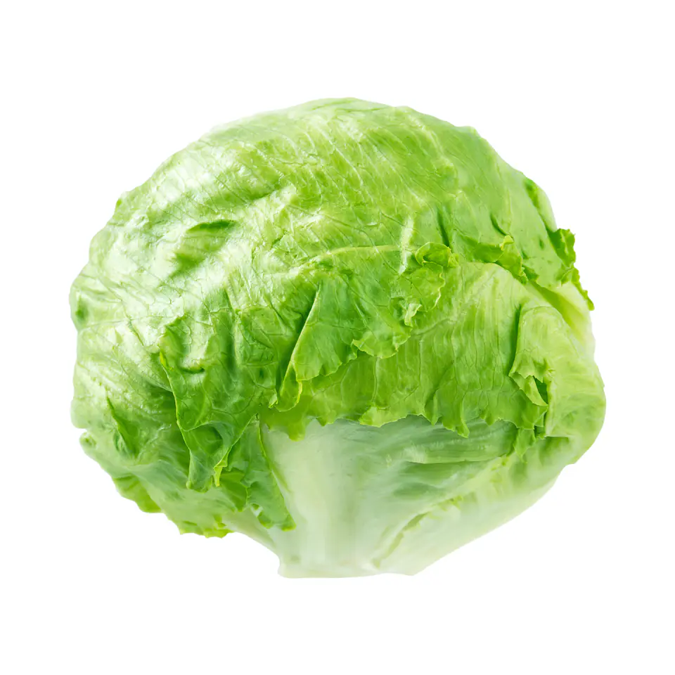 Lechuga escarola (Unidad) 1