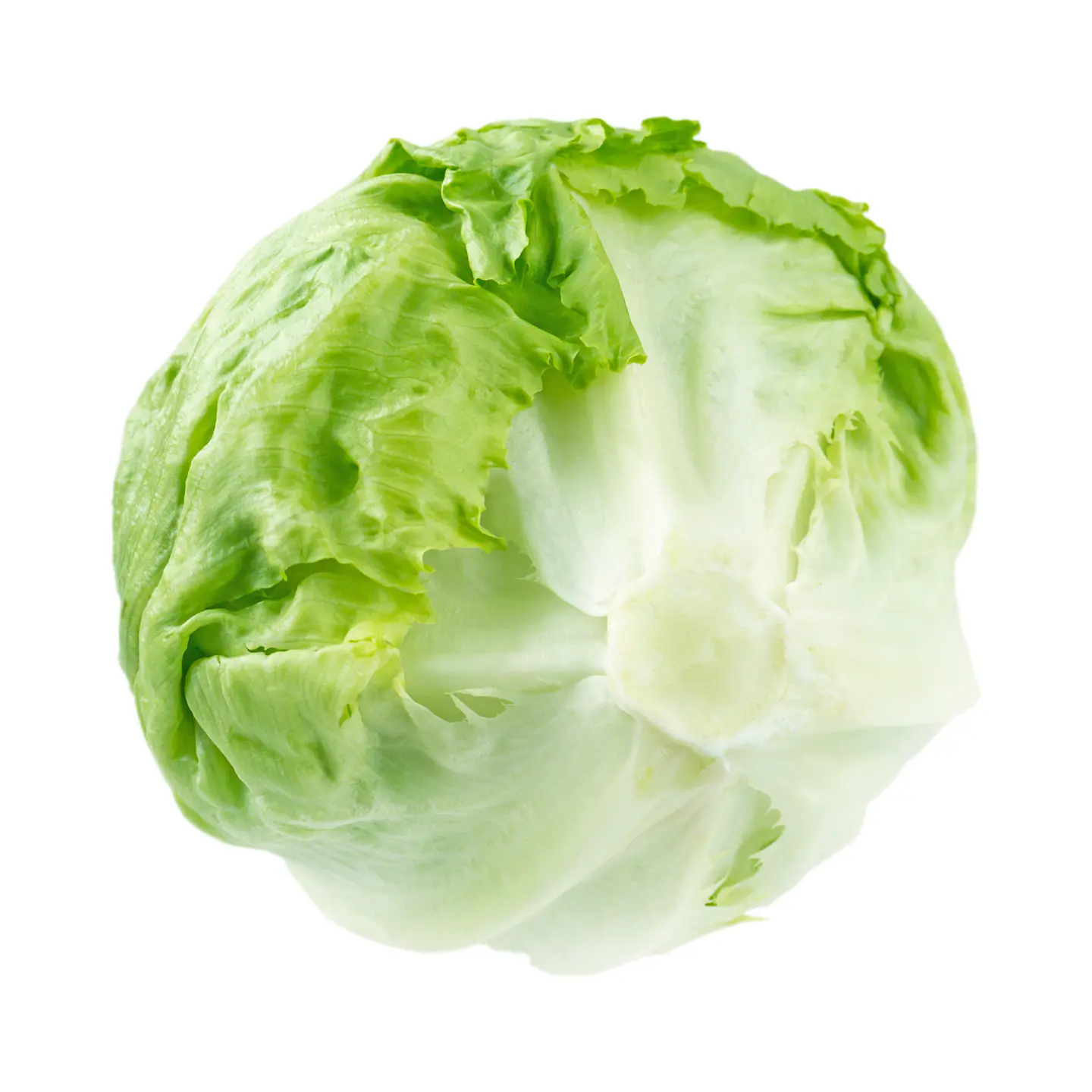 Lechuga escarola (Unidad) 2
