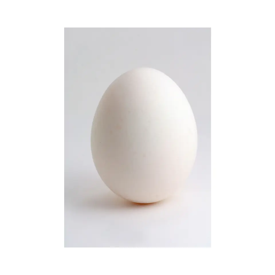Huevo Blanco Extra (30 unidades) 2