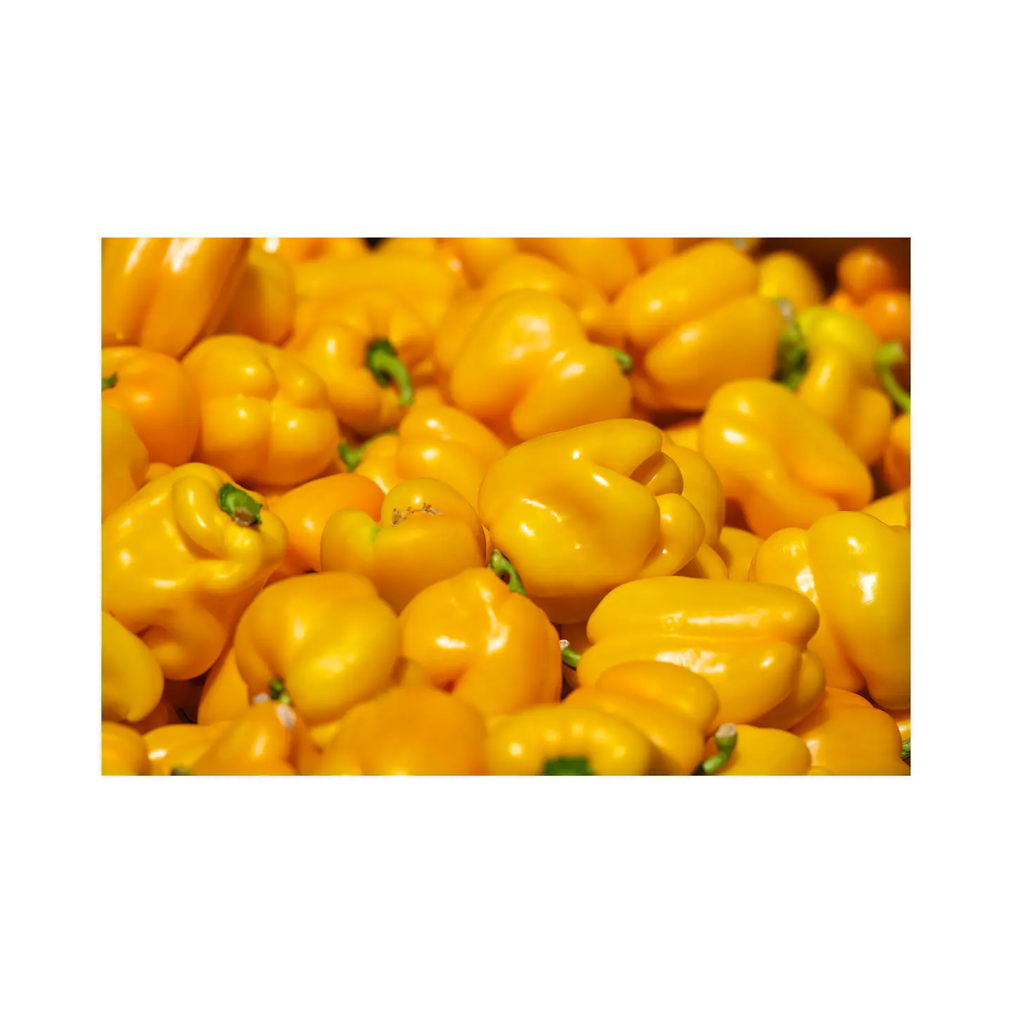 Pimentón amarillo (Unidad) 2
