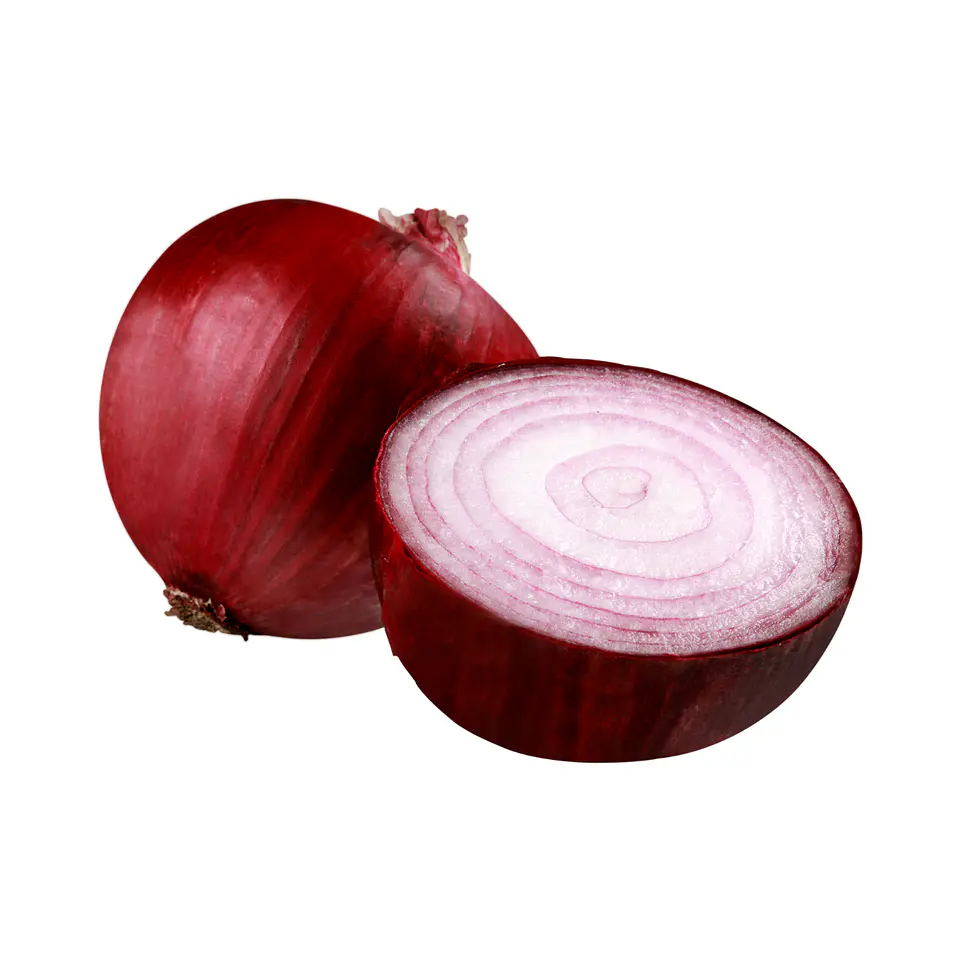 Cebolla Morada 1