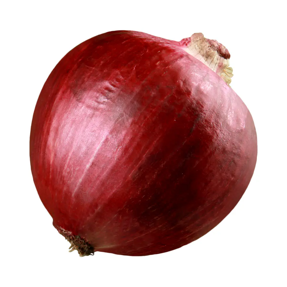 Cebolla Morada 2