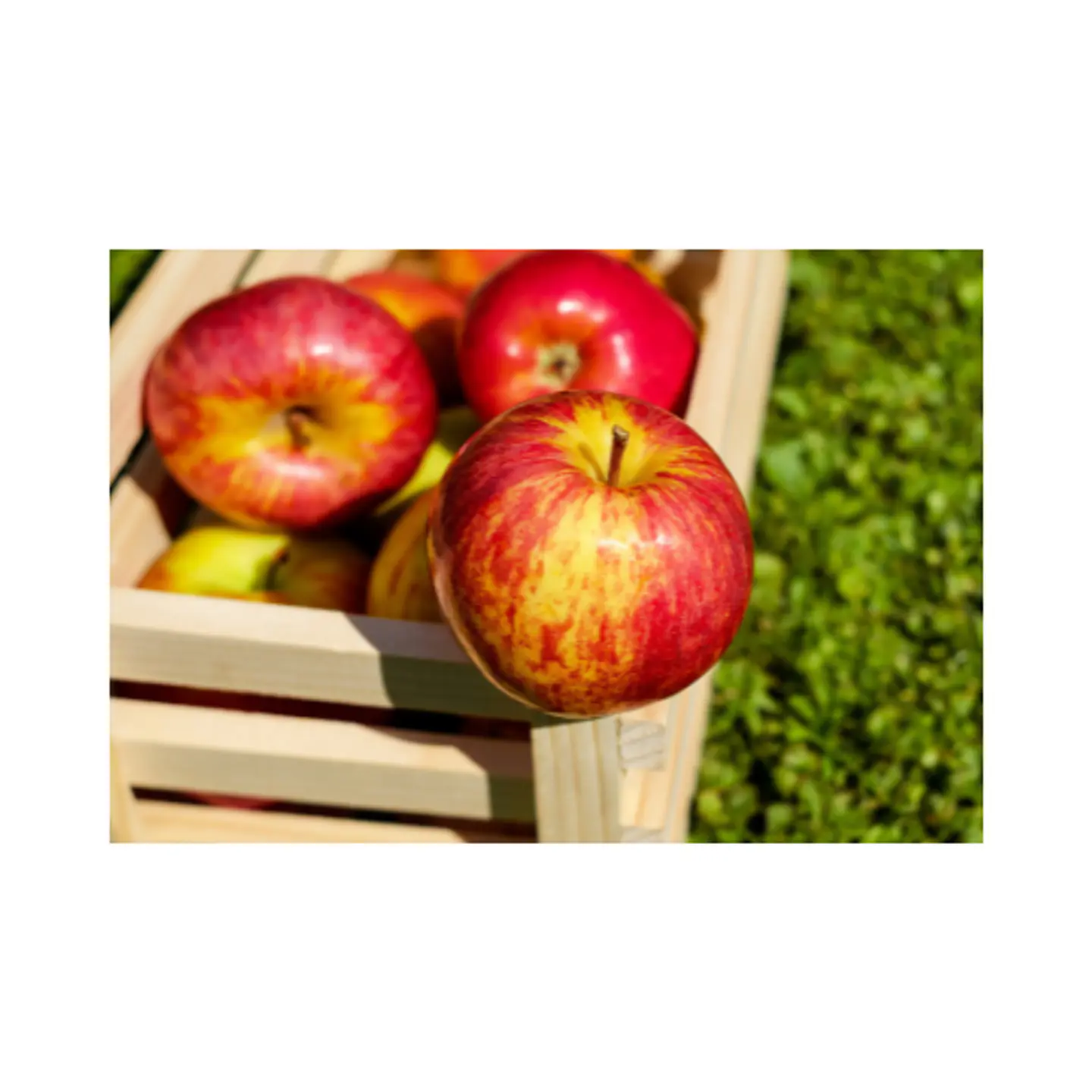 Manzana Roja (Kilo) 2