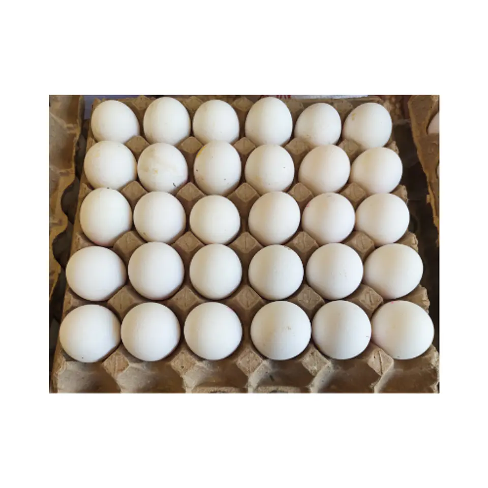 Huevo Blanco Extra (30 unidades) 1