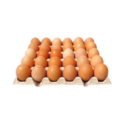 Huevos Color (30 Unidades)