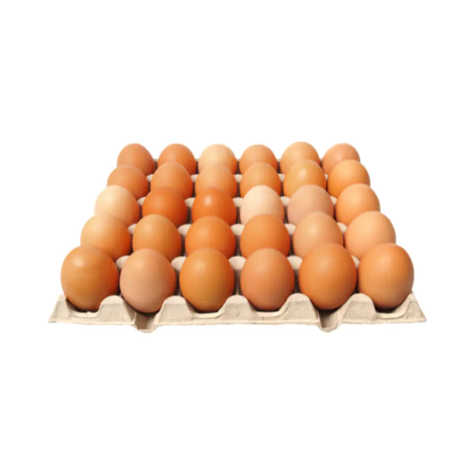 Huevos Color (30 Unidades) 1