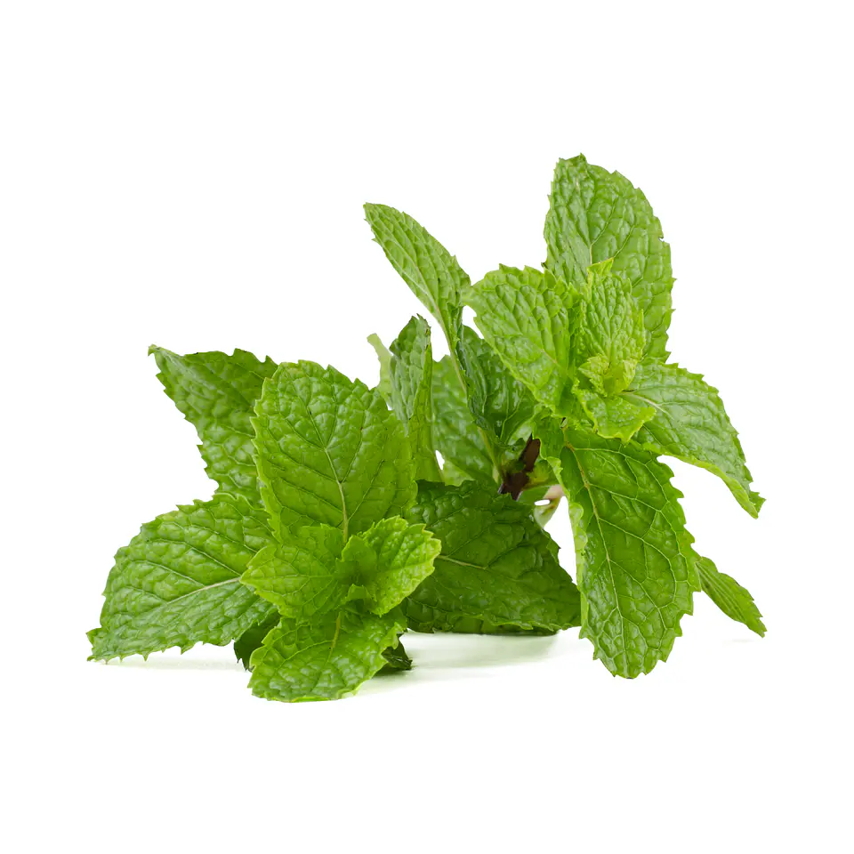 Menta 50g 1