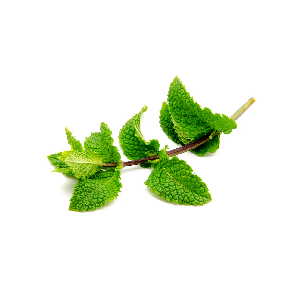 Menta 50g 2
