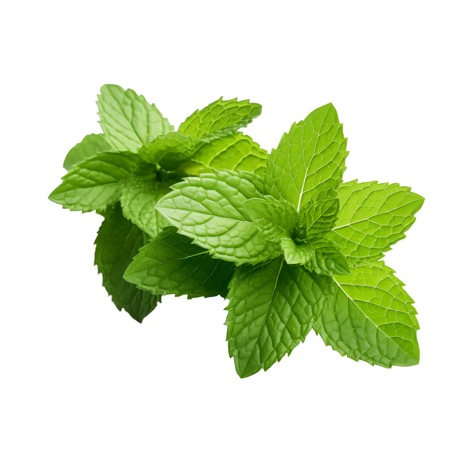 Menta 50g 3