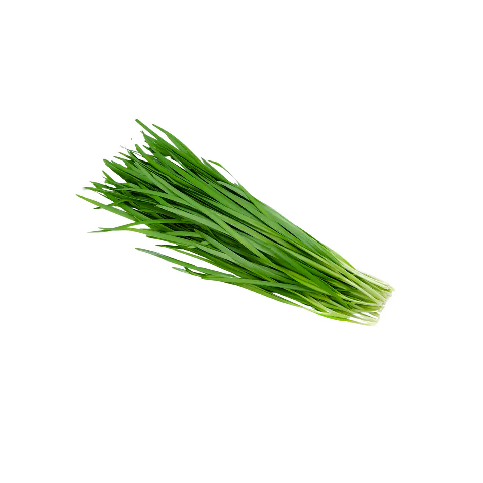 Ciboulette 1