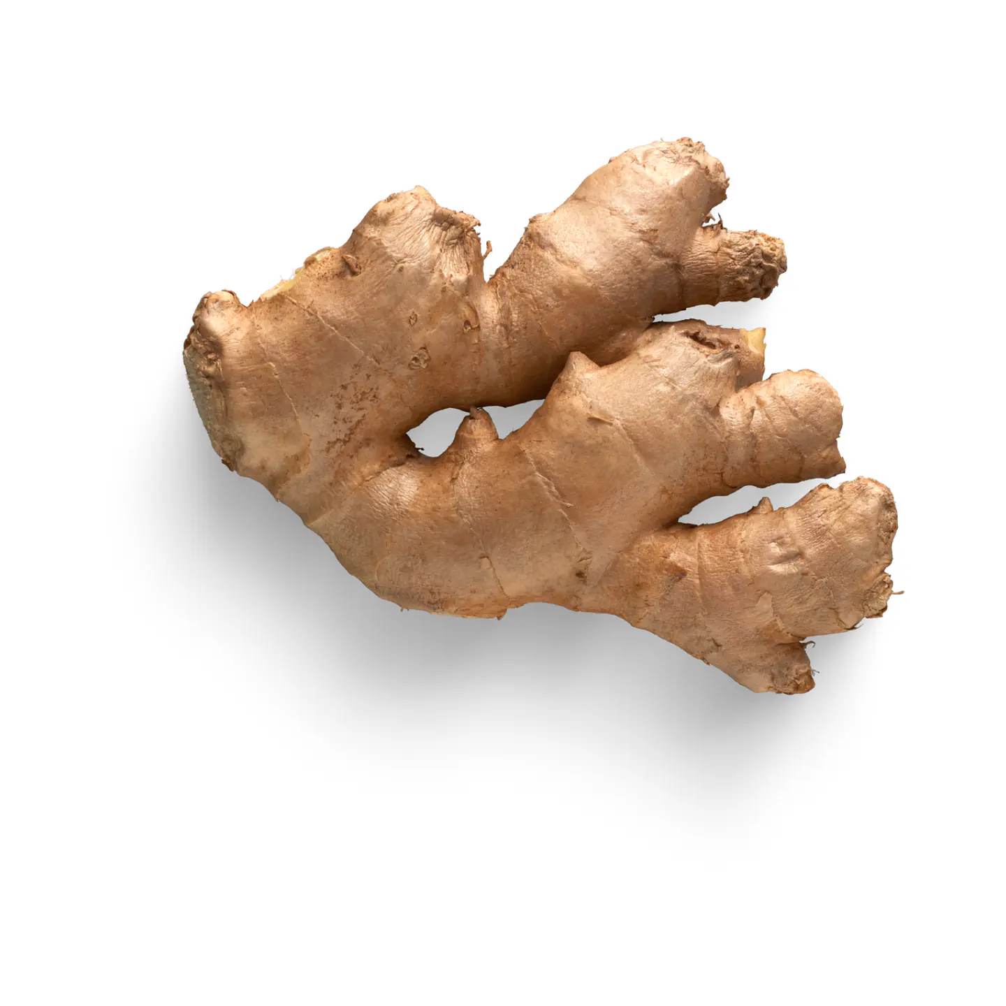 Jengibre (250g) 2