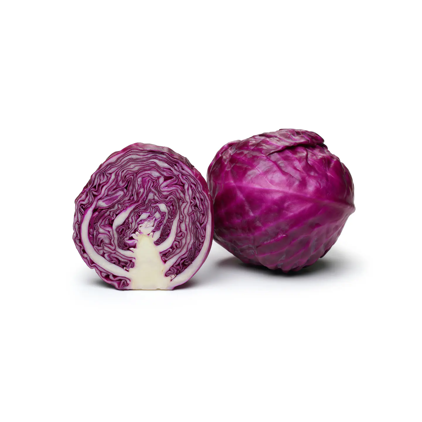 Repollo Morado 1