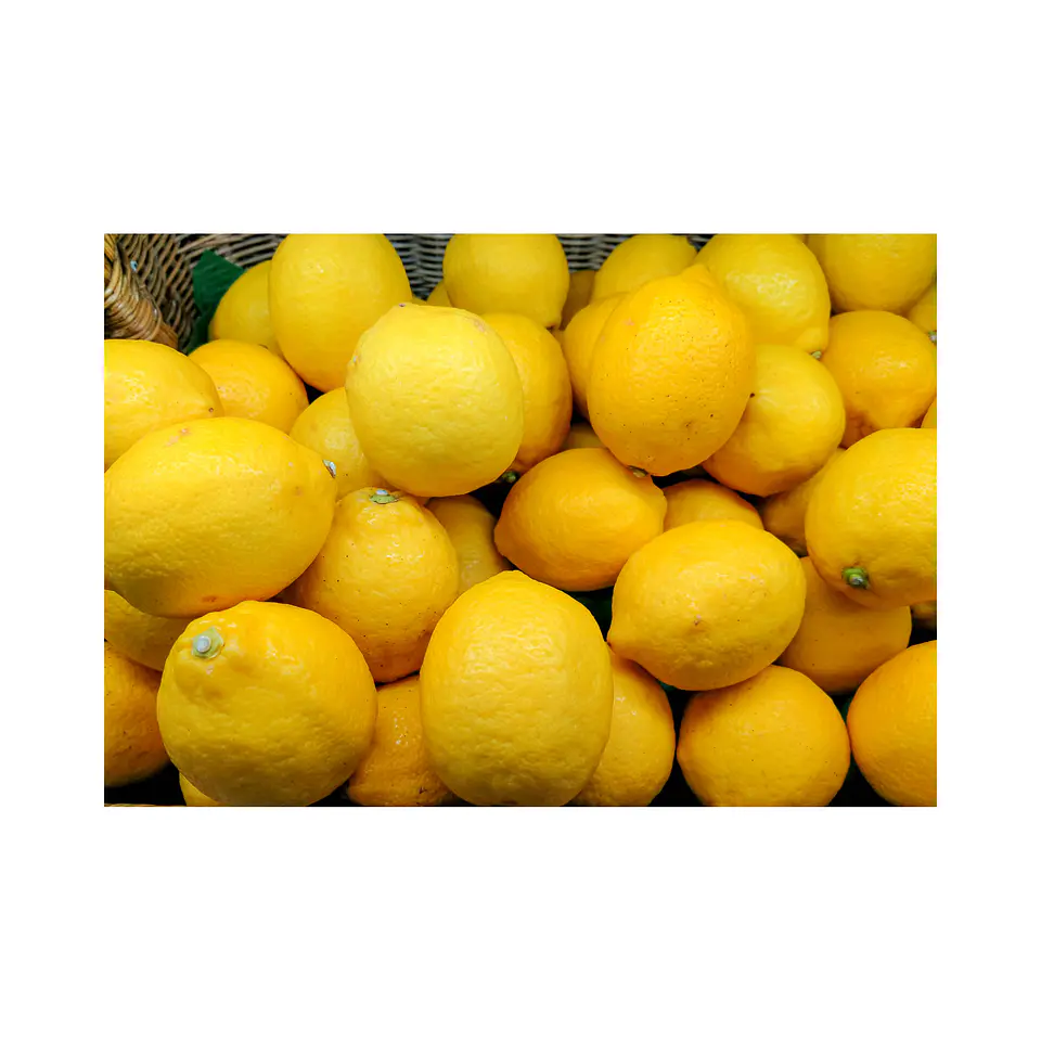 Limon (Malla 15kilos) 2