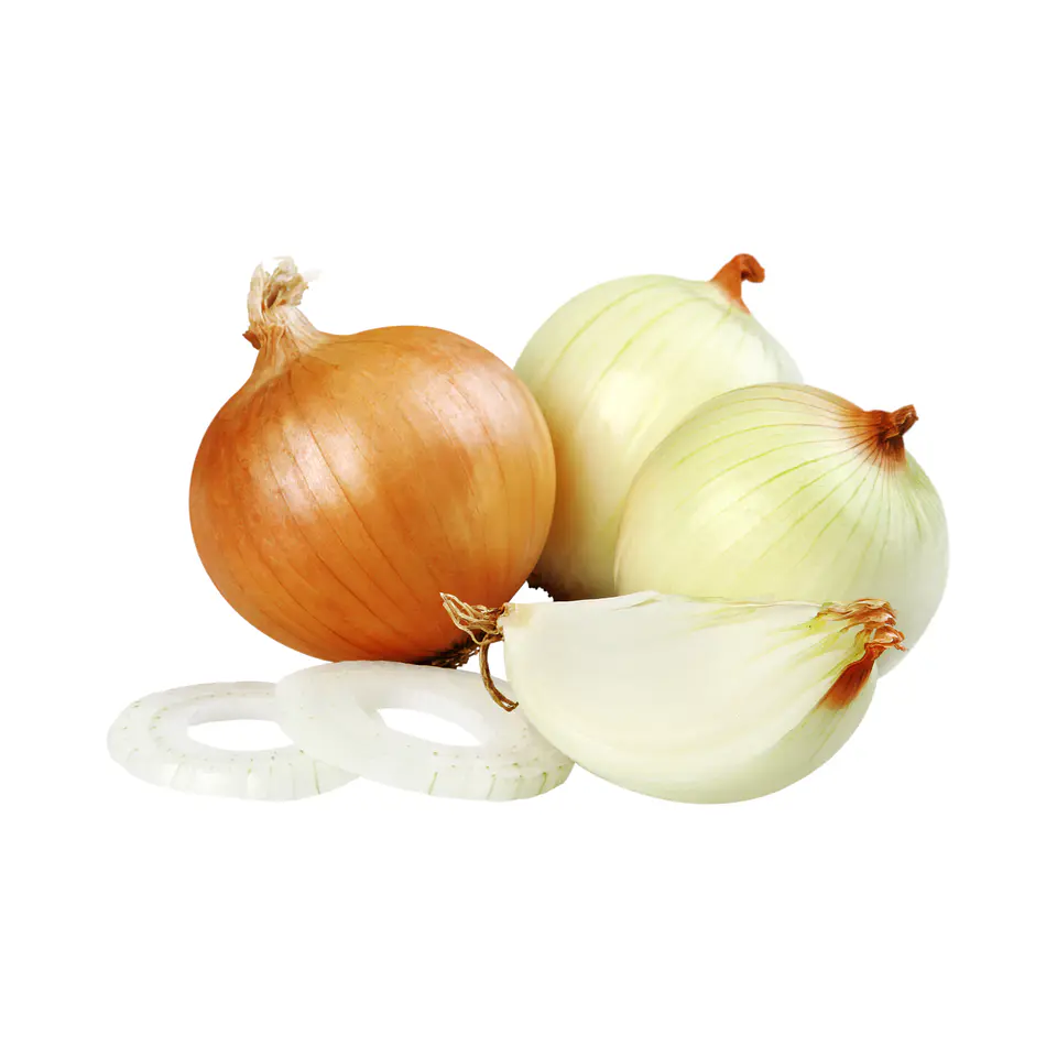 Cebolla Malla 14 kilos 3