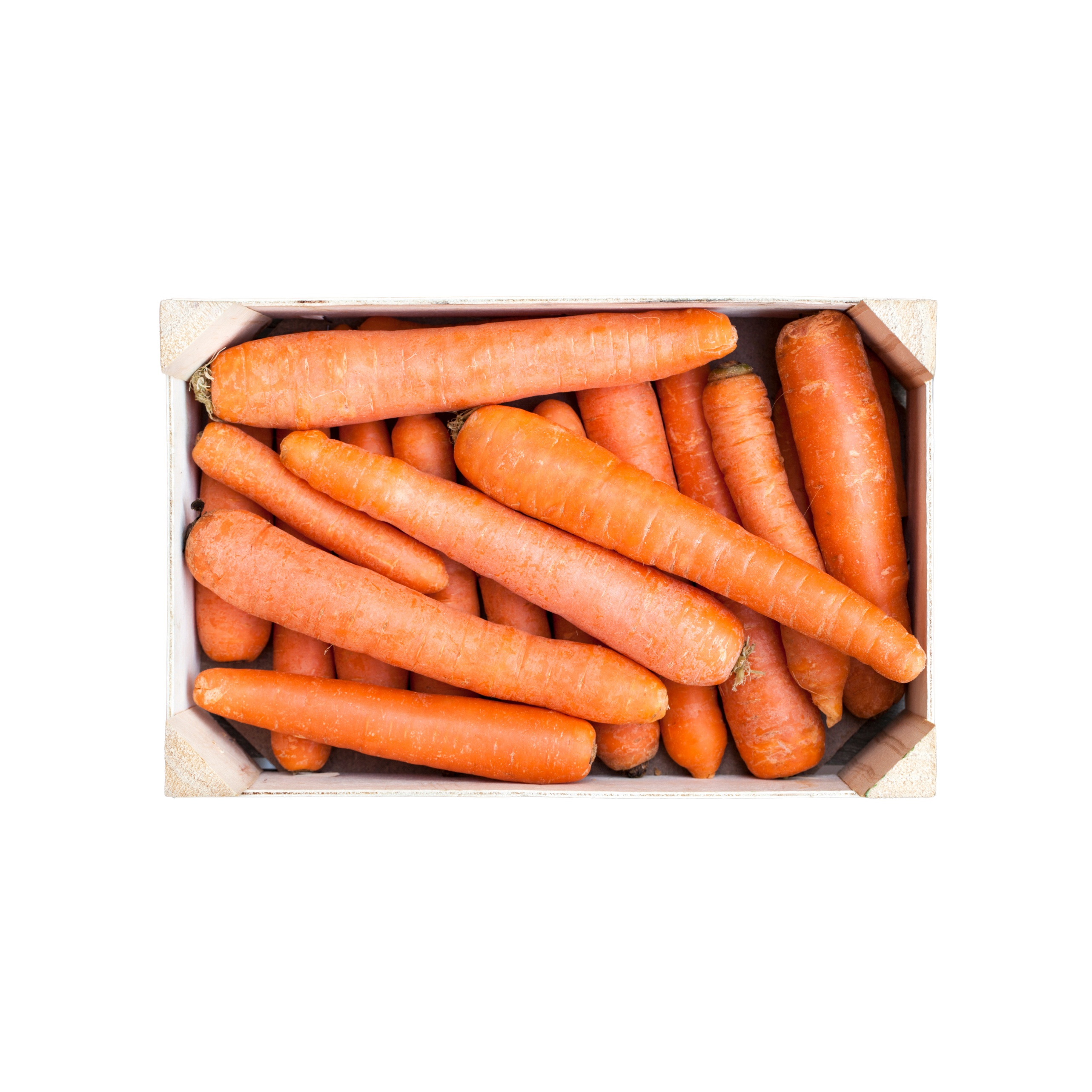 Zanahoria Caja 18kilos zanahoria-caja-18kilos