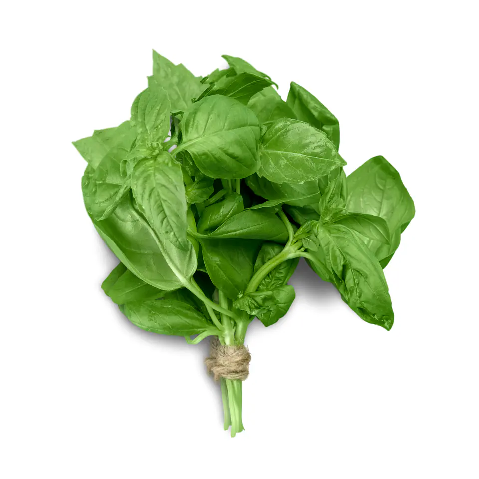 Albahaca (Paquete) 2