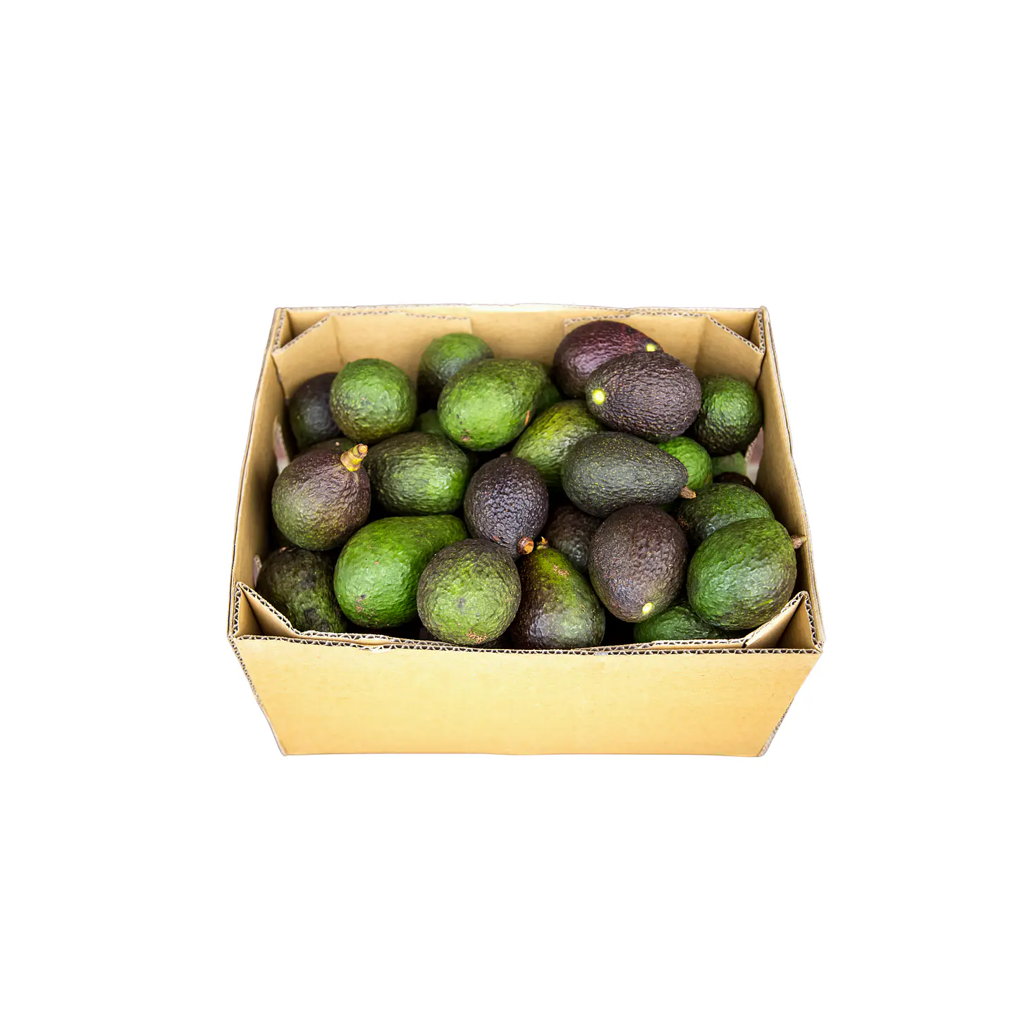Palta Hass Chilena (Caja 10 Kilos ) 1