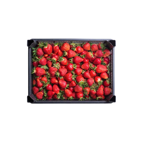 Caja frutillas (7 kg)
