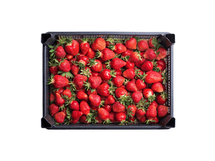 Caja frutillas (7 kg)