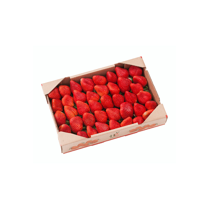 Caja frutillas (7 kg) 2