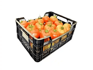 Tomate (Caja 17 kilos) SEGUNDA