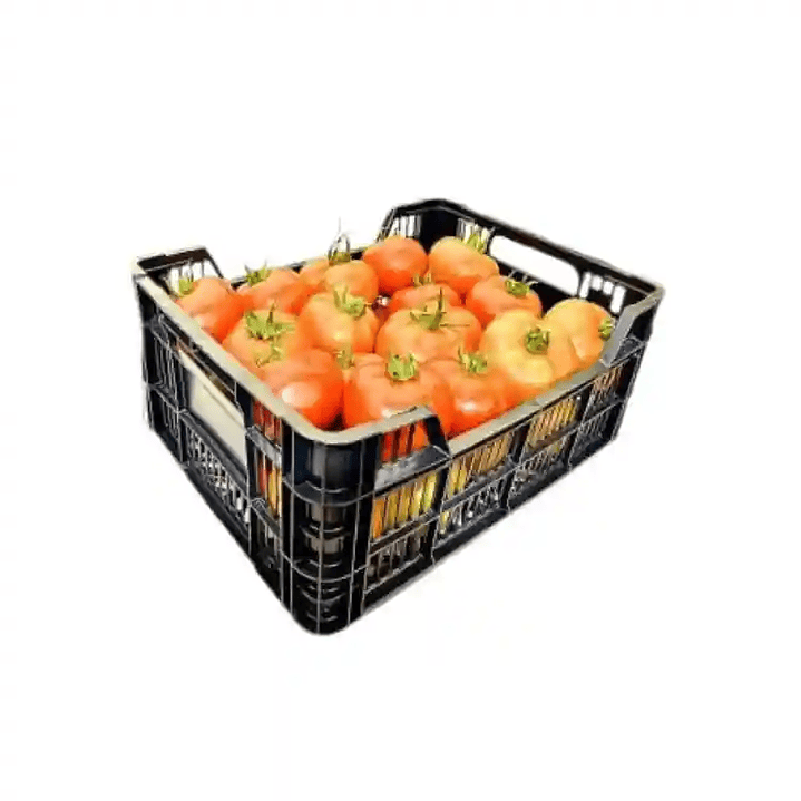 Tomate (Caja 17 kilos) SEGUNDA 1