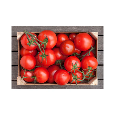 Tomate (caja 17 kilos) Calibre 7