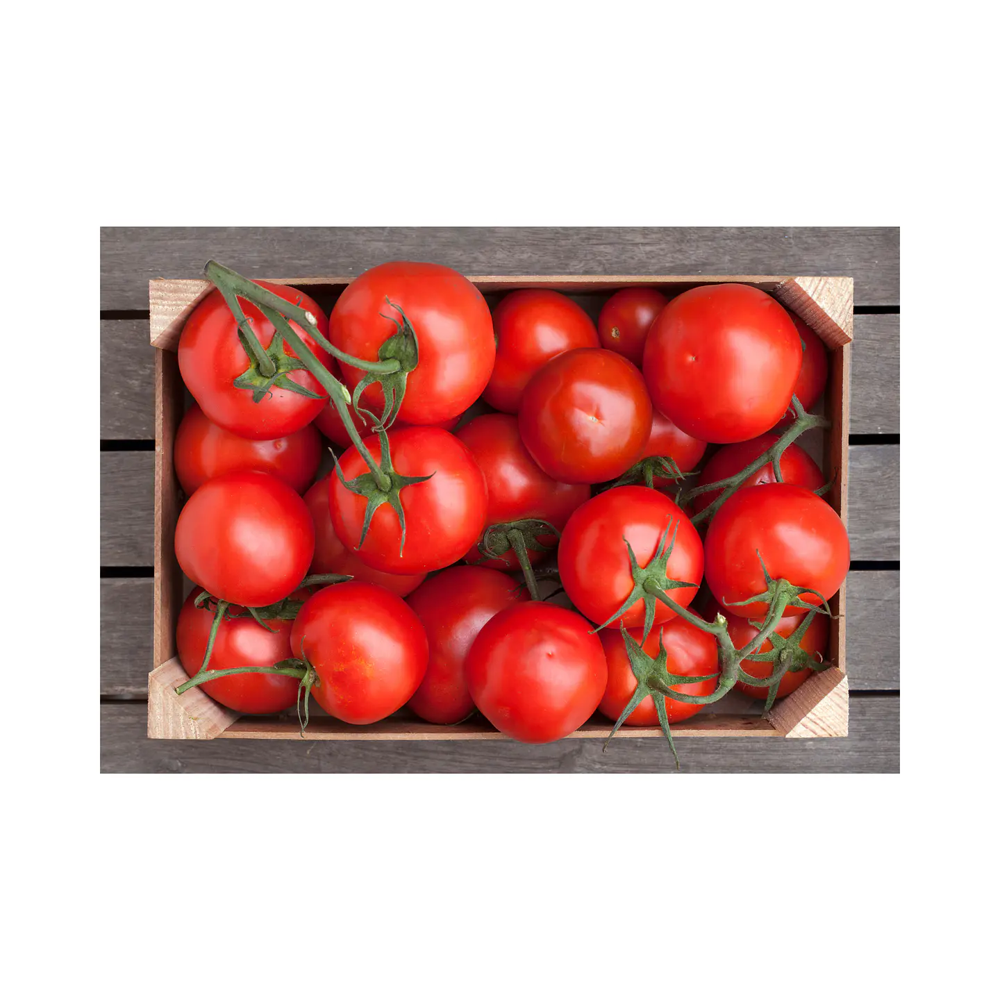 Tomate (caja 17 kilos) Calibre 7 1