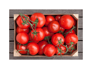 Tomate (caja 17 kilos) Calibre 7
