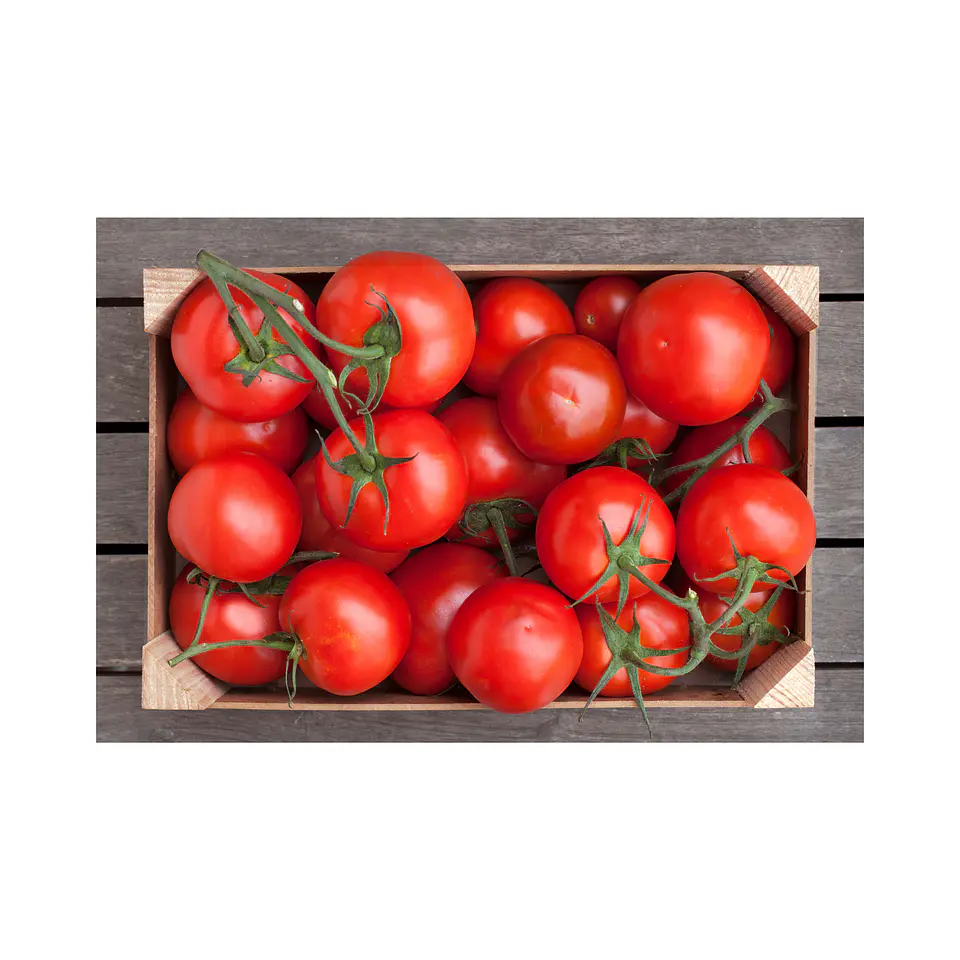 Tomate (caja 17 kilos) Calibre 7 1
