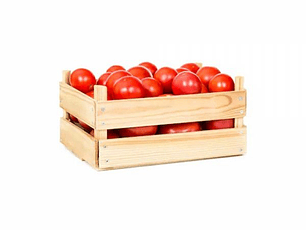 Tomate (caja 17 kilos) Calibre 8