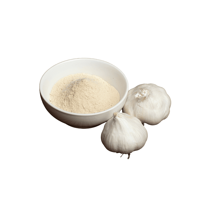 Ajo en Polvo 50gr 1