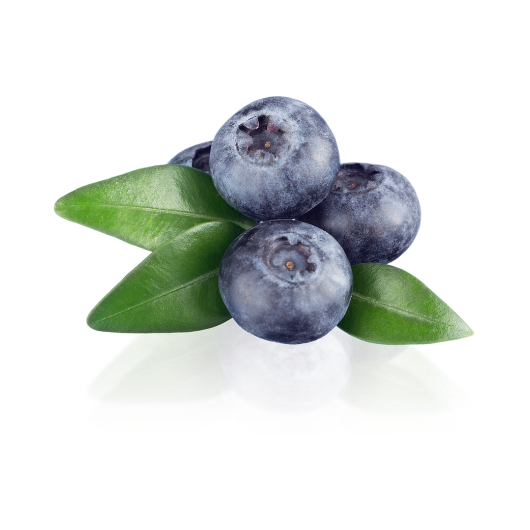 Arándanos (500g) 1