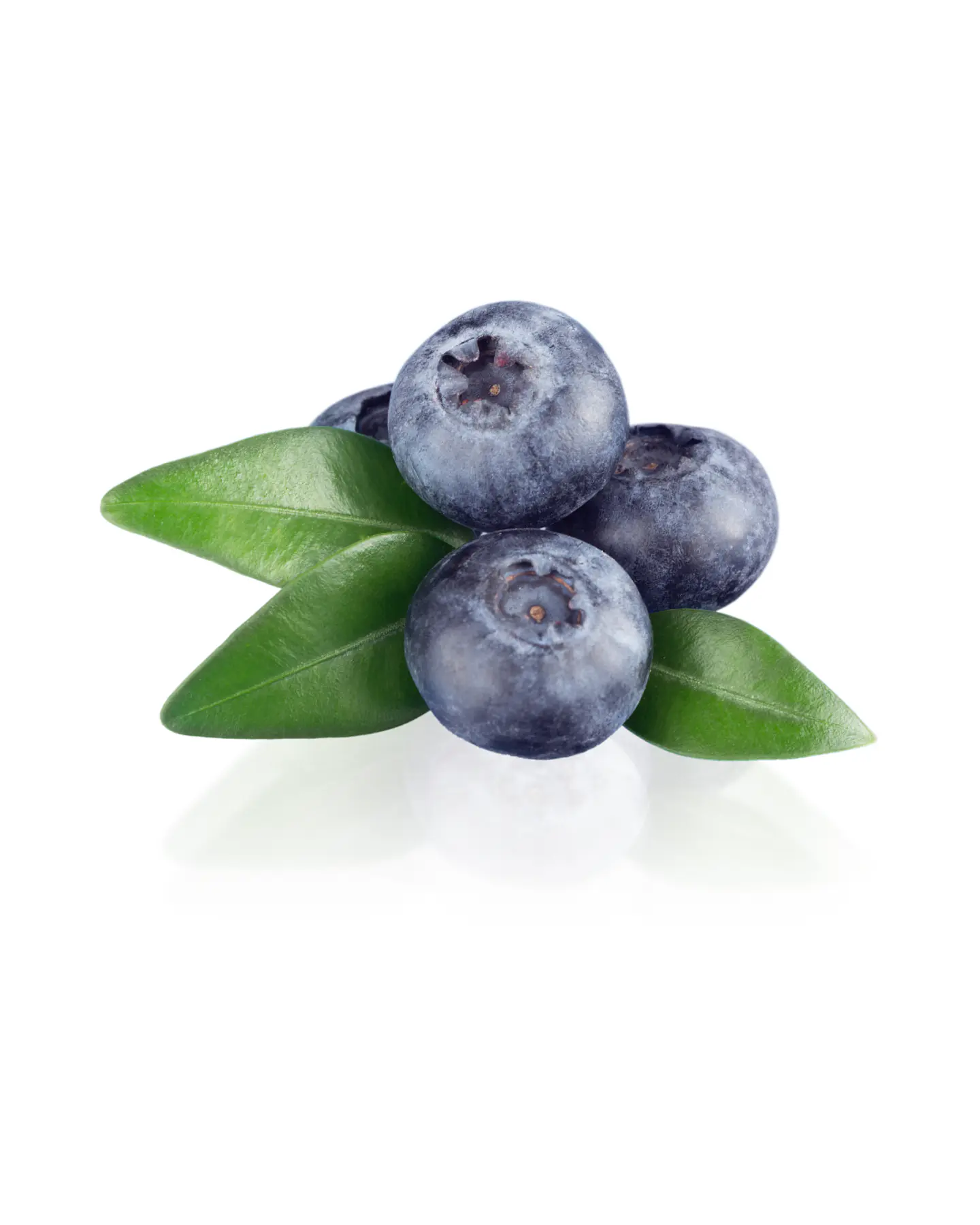Arándanos (500g) 1