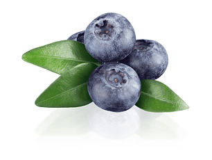 Arándanos (500g)