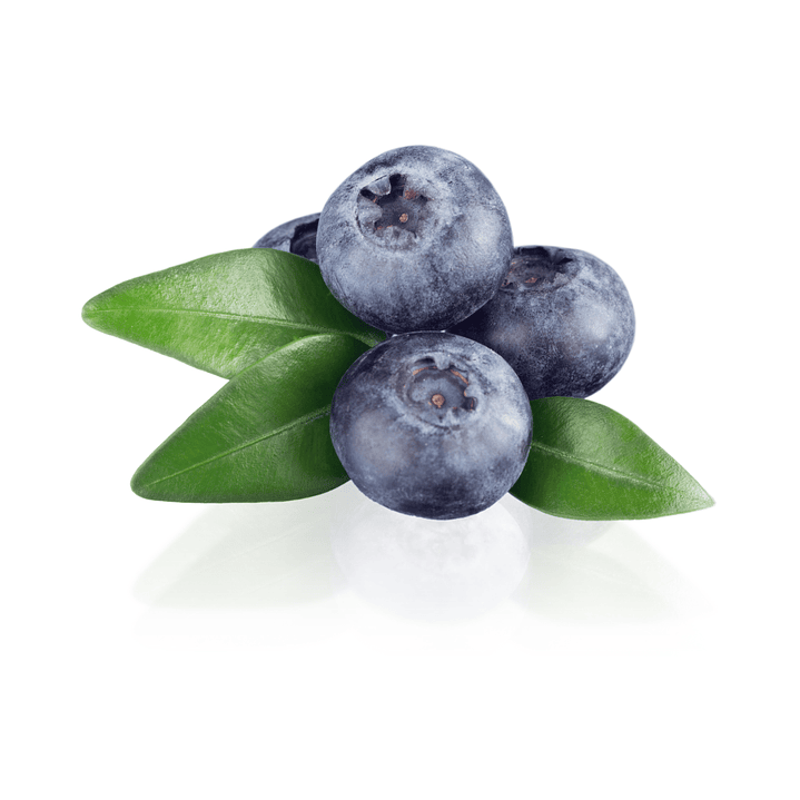 Arándanos (500g) 1