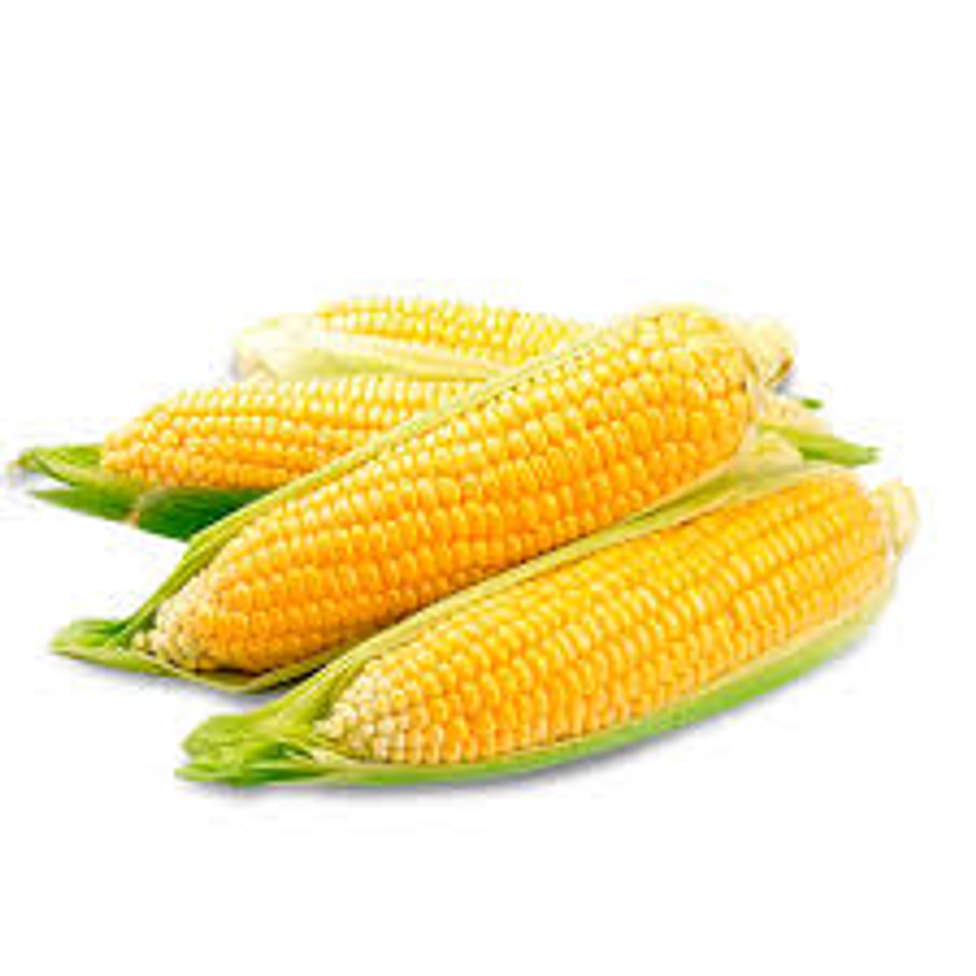 choclo Humero (Unidad) 1