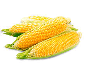 choclo Humero (Unidad)