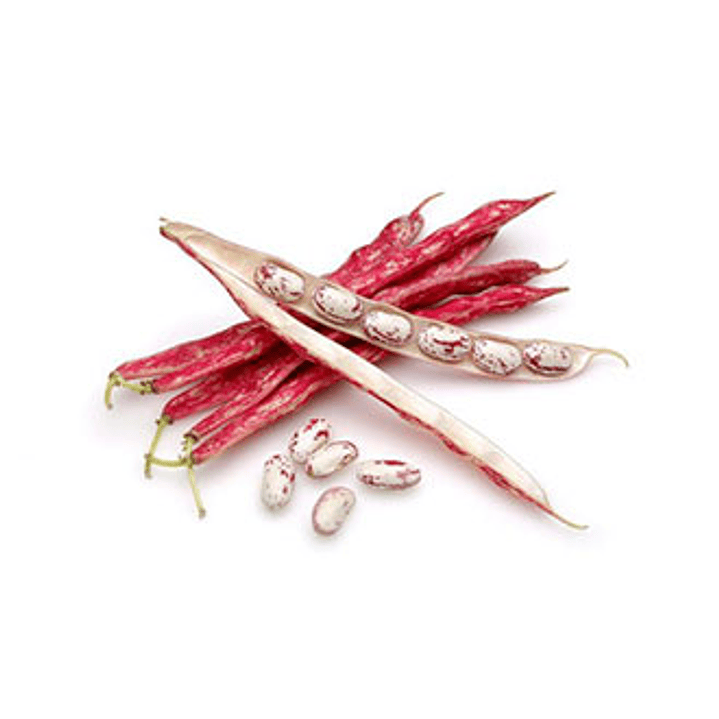 Porotos Granados (kilo) 1