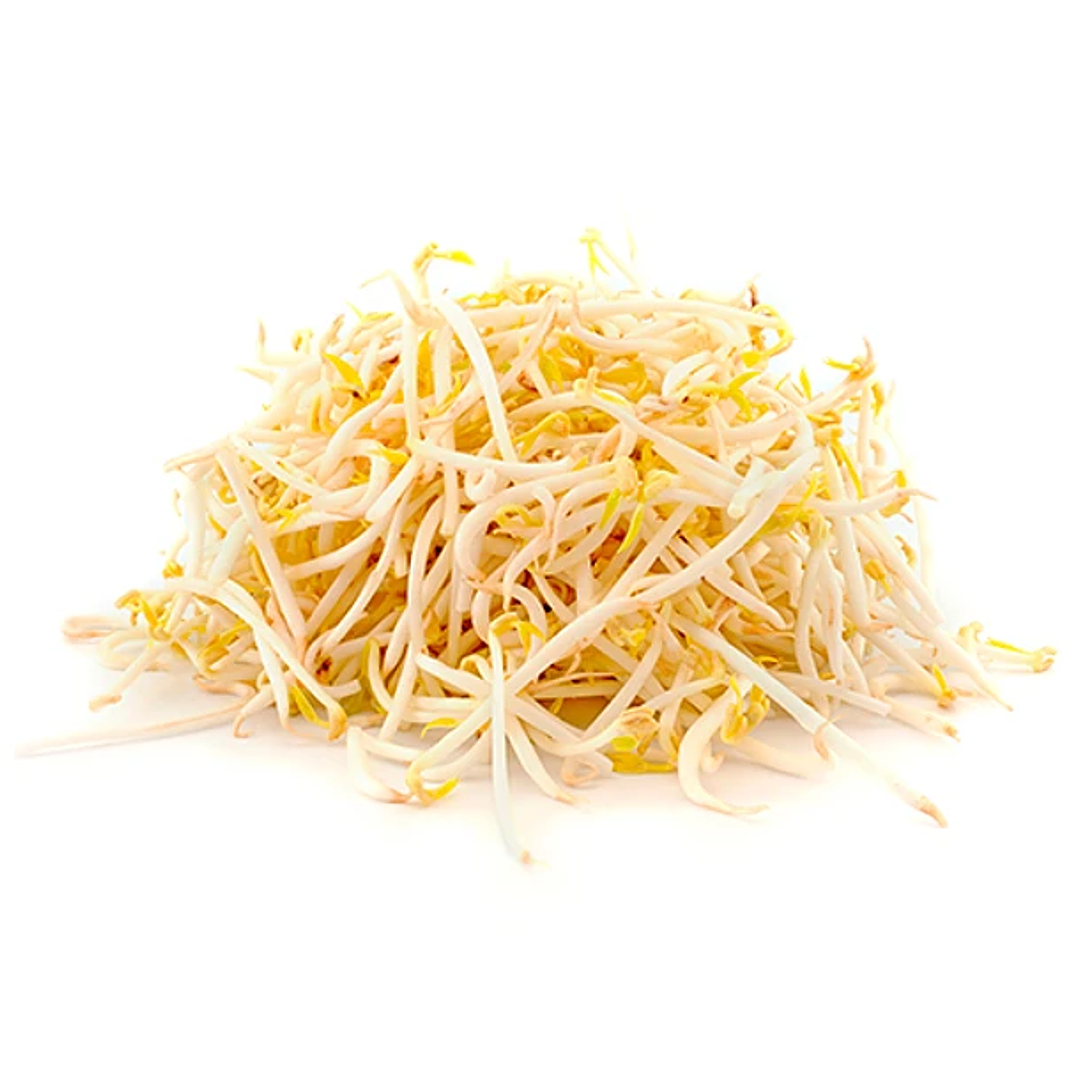 Diente de dragon 1k 1