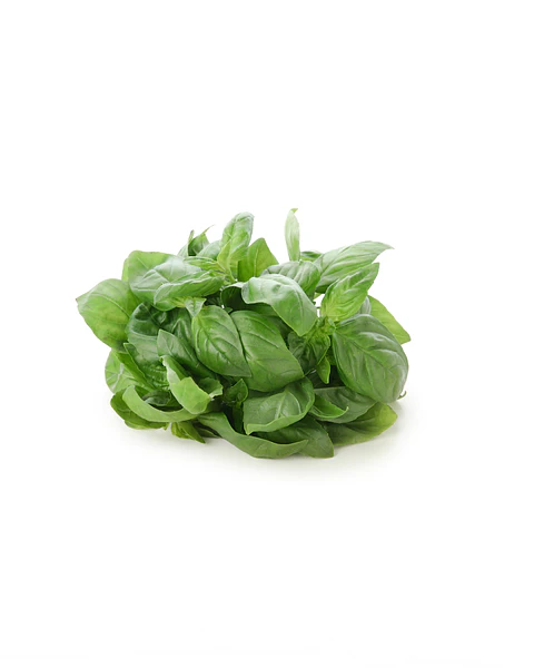albahaca (1 kilo)
